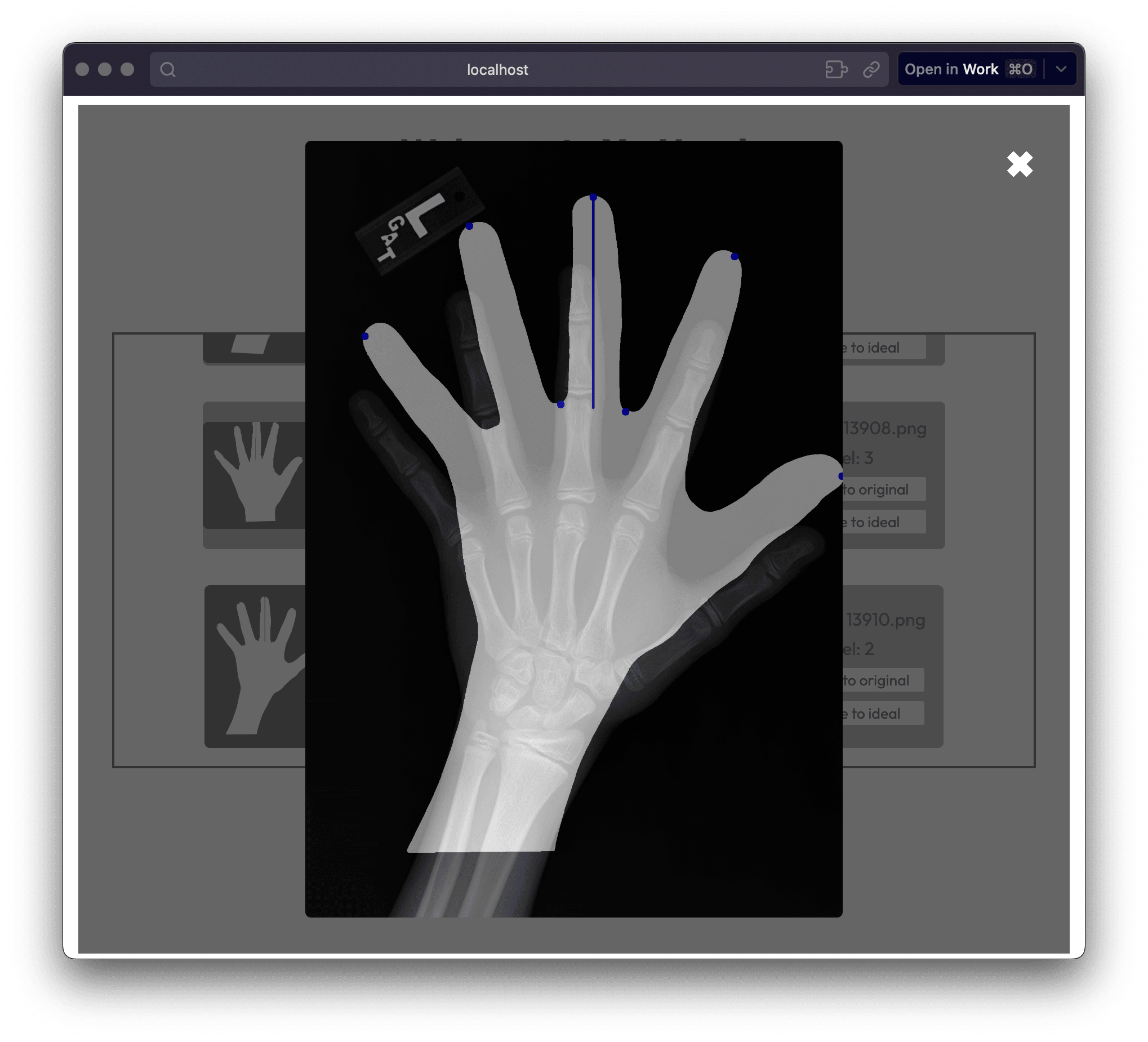 xhand/5.png